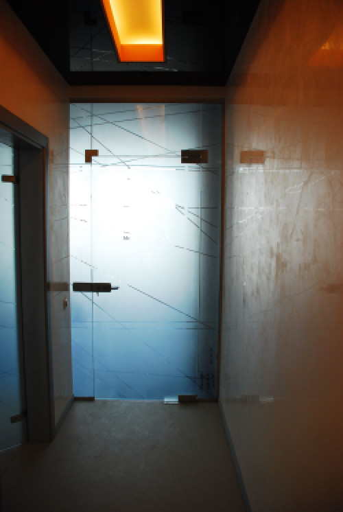 скляні двері, вхідні скляні двері фото 11