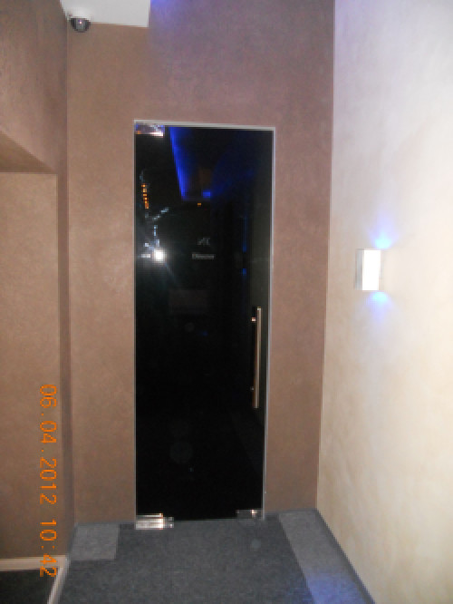 скляні двері, вхідні скляні двері фото 15