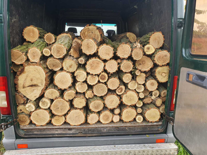 Продам дрова (акация, дуб, ясень) фото 2