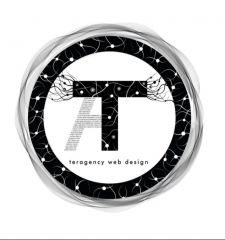 Логотип компании TerAgency